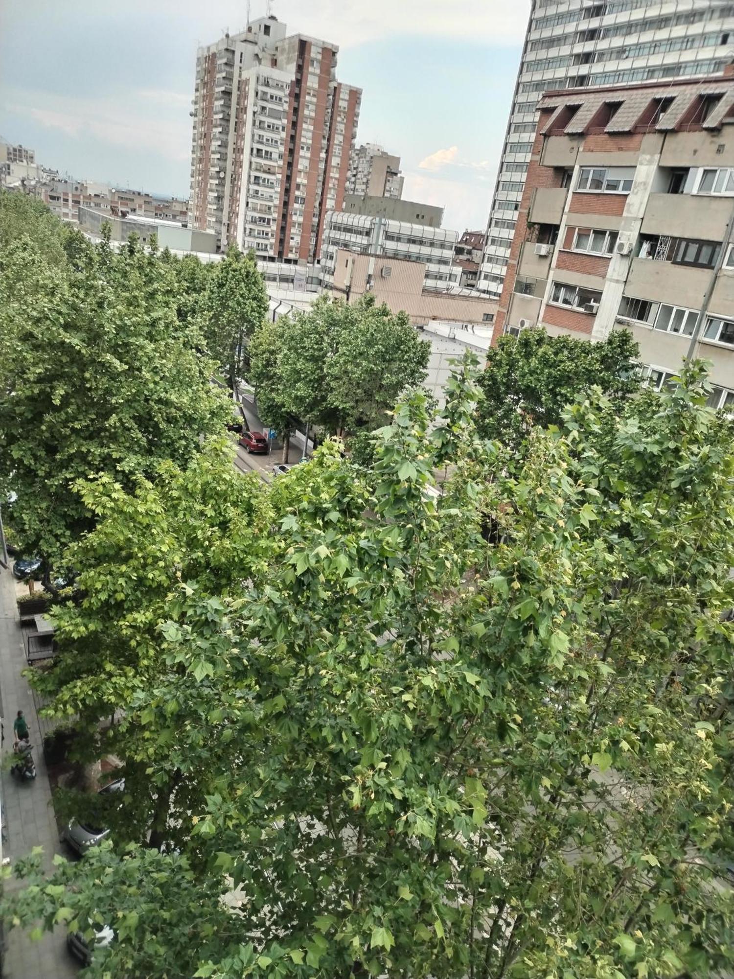 בלגרד Tasmajdan City Break מראה חיצוני תמונה